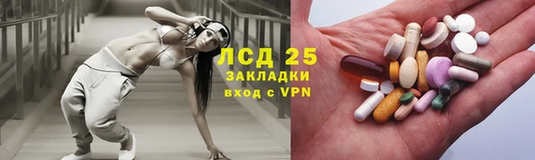 спайс Кулебаки